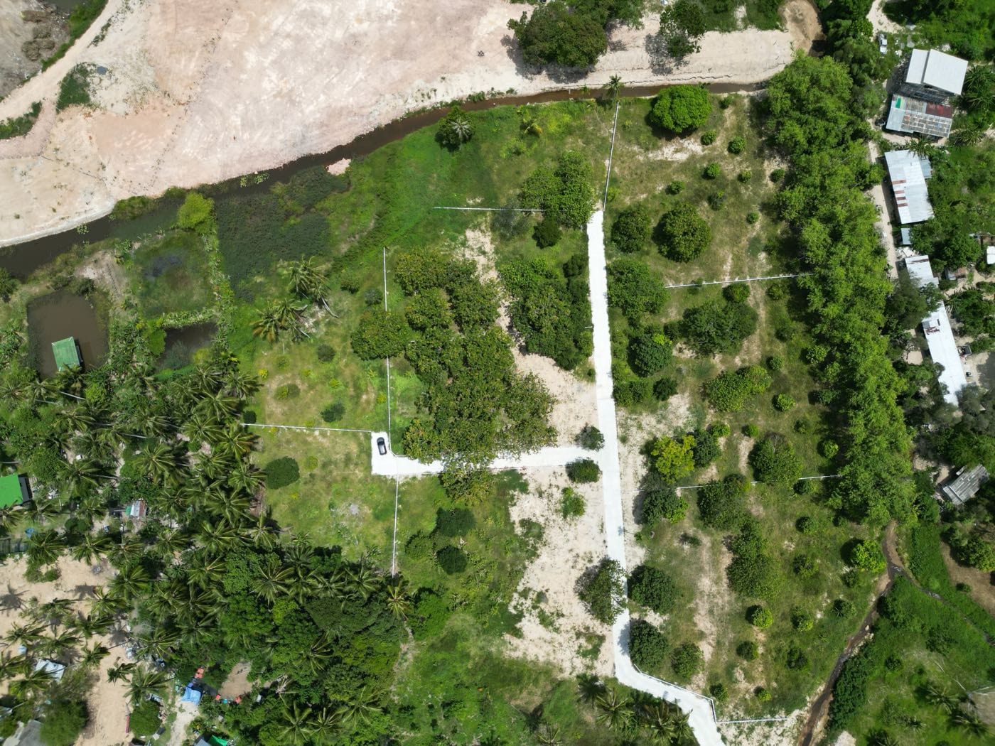 Aerial view of the TerraVida land before construction: coconut palms and dense green growth, the public canal running through it and plot boundaries marked out in white